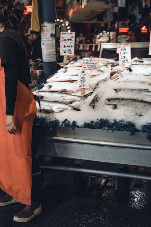 Woman in an Apron Standing next to a Counter with Ice and Fresh Fish 