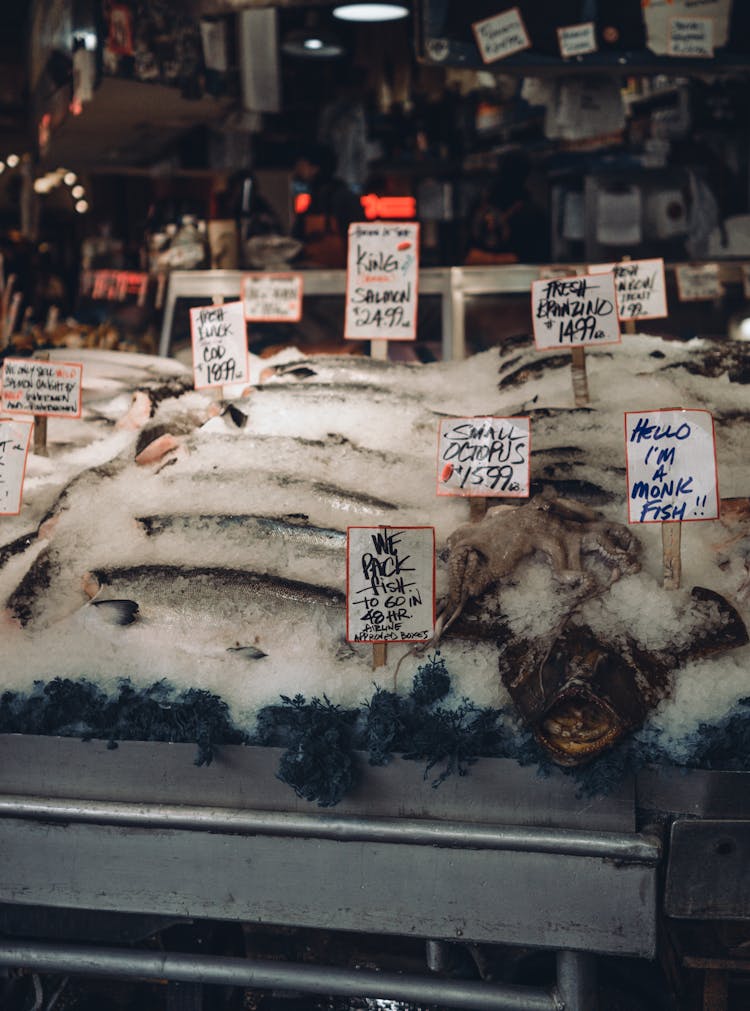 Fresh Fish On A Market Stall 