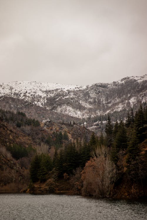 Mountain over Forest and Lake