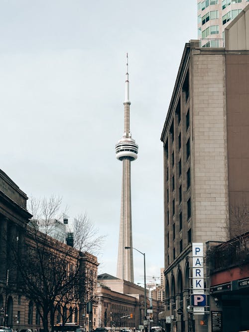 City Street with the View on the CN Tower in Toronto, Canada 