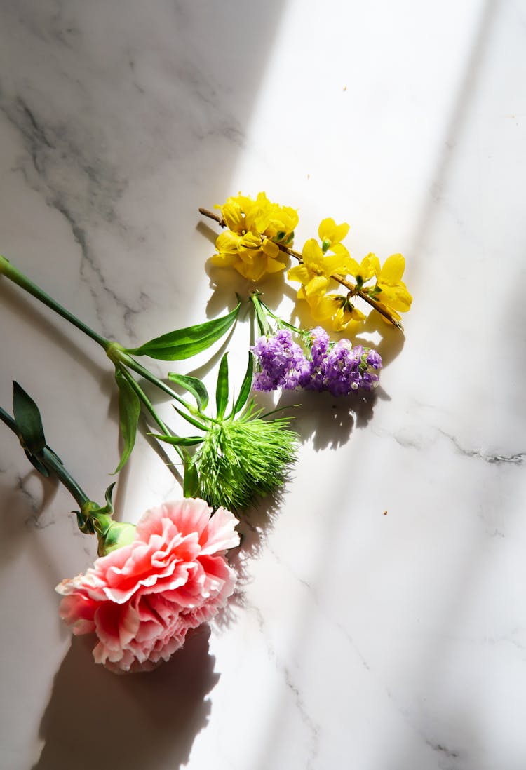 Flowers In Sunlight