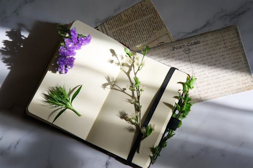 Journal with Plants
