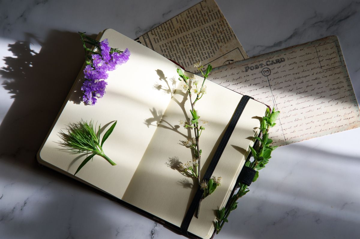 The Self-Discovery Journal