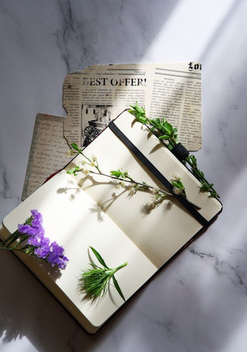 Top View of Notebooks and Flowers in Sunlight