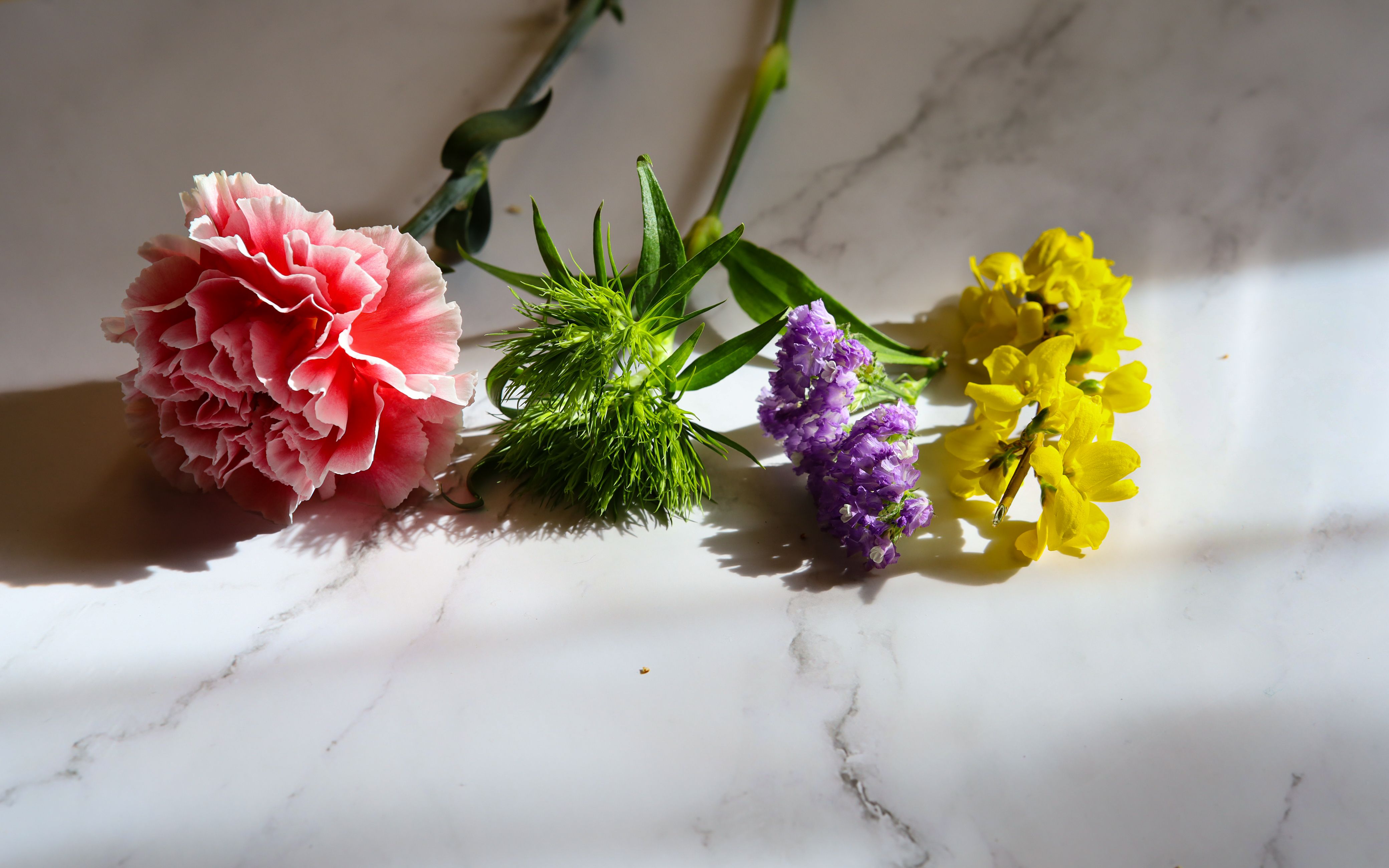 Assorted birth month flowers