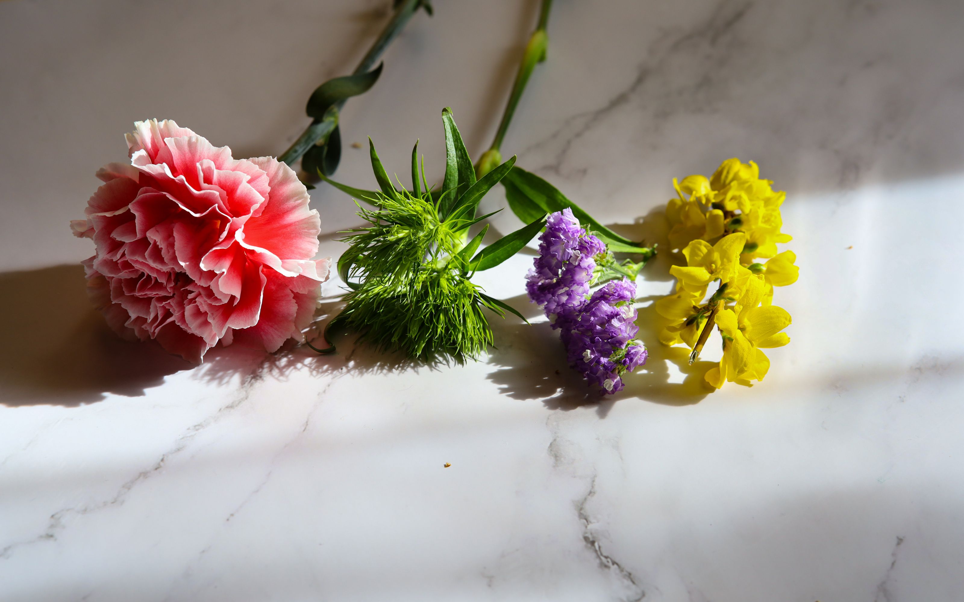 Assorted birth month flowers