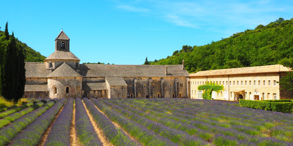 Sénanque Abbey: A Complete Guide to Provence's Most Iconic Lavender Destination