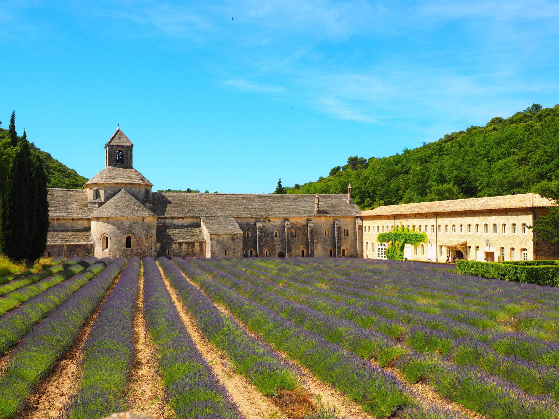 Scenic view of lavender fields and a historic abbey under a clear blue sky in Provence, France.