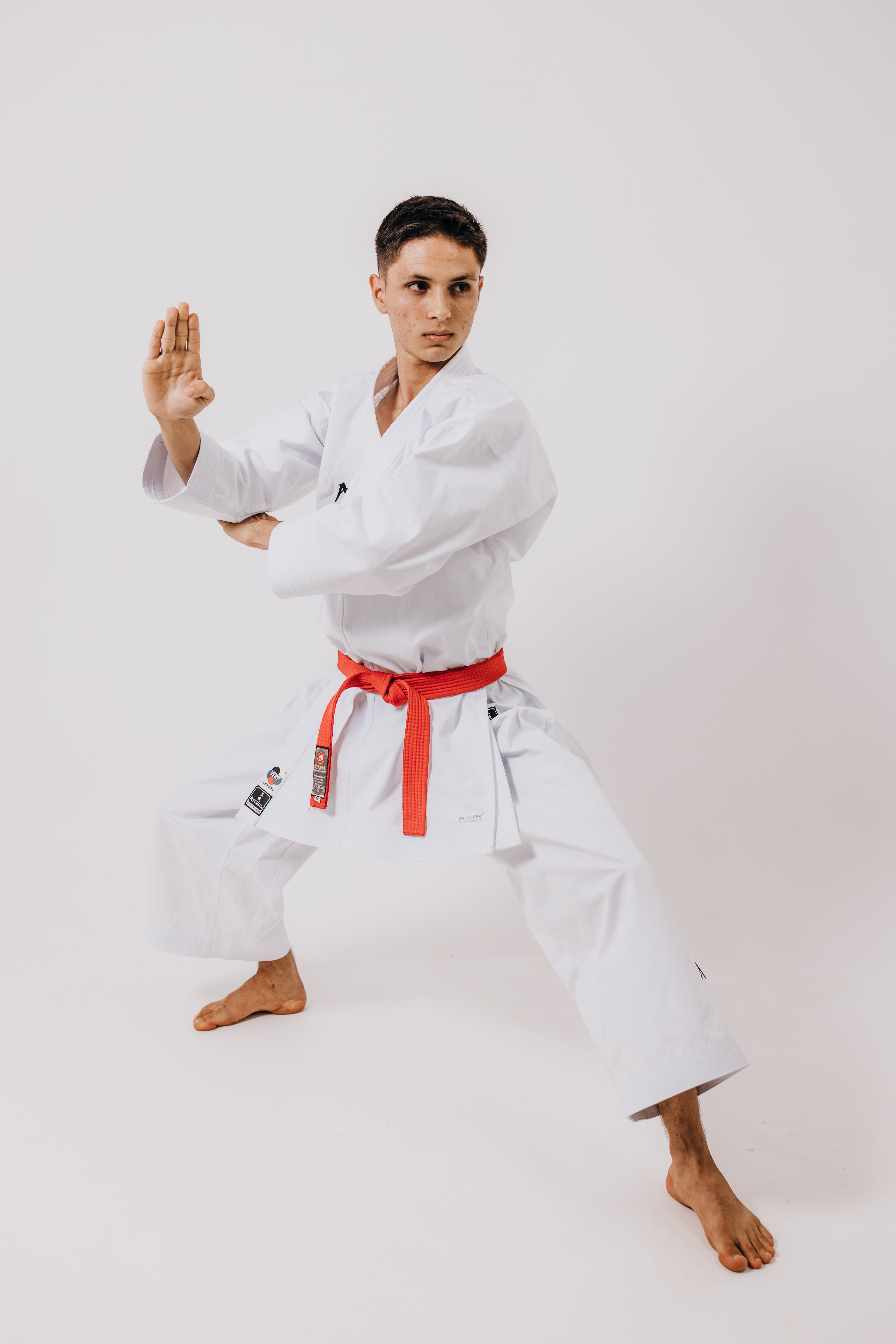 A martial artist demonstrating a kata pose in a martial arts studio.