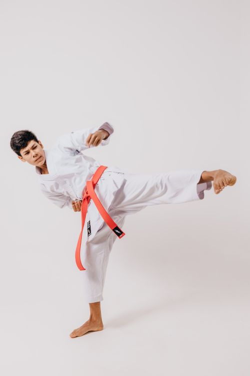 Karate Reference Karate Pose Photos, Download The BEST Free Karate Pose Stock Photos ...