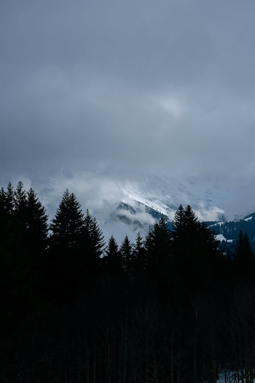 Clouds over Forest and Mountains