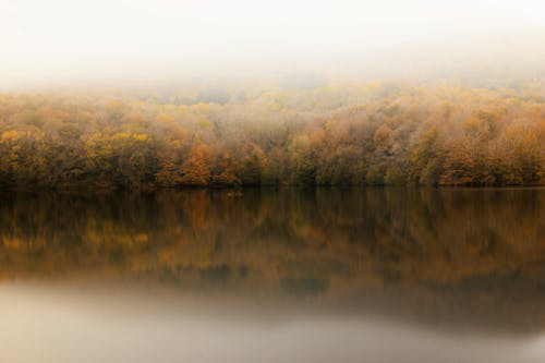Fog over Lake and Autumn Forest