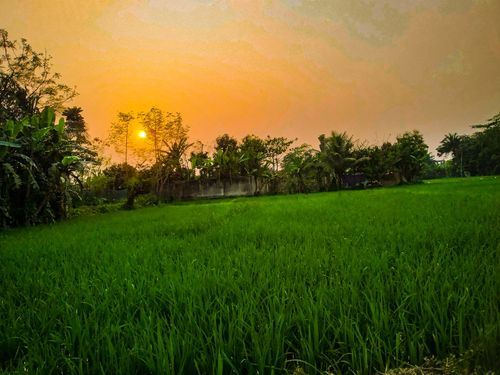 Free Beautiful Photography  Stock Photo