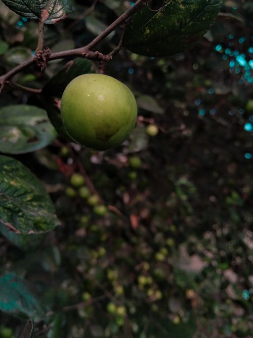 Free Beautiful nature photography  Stock Photo