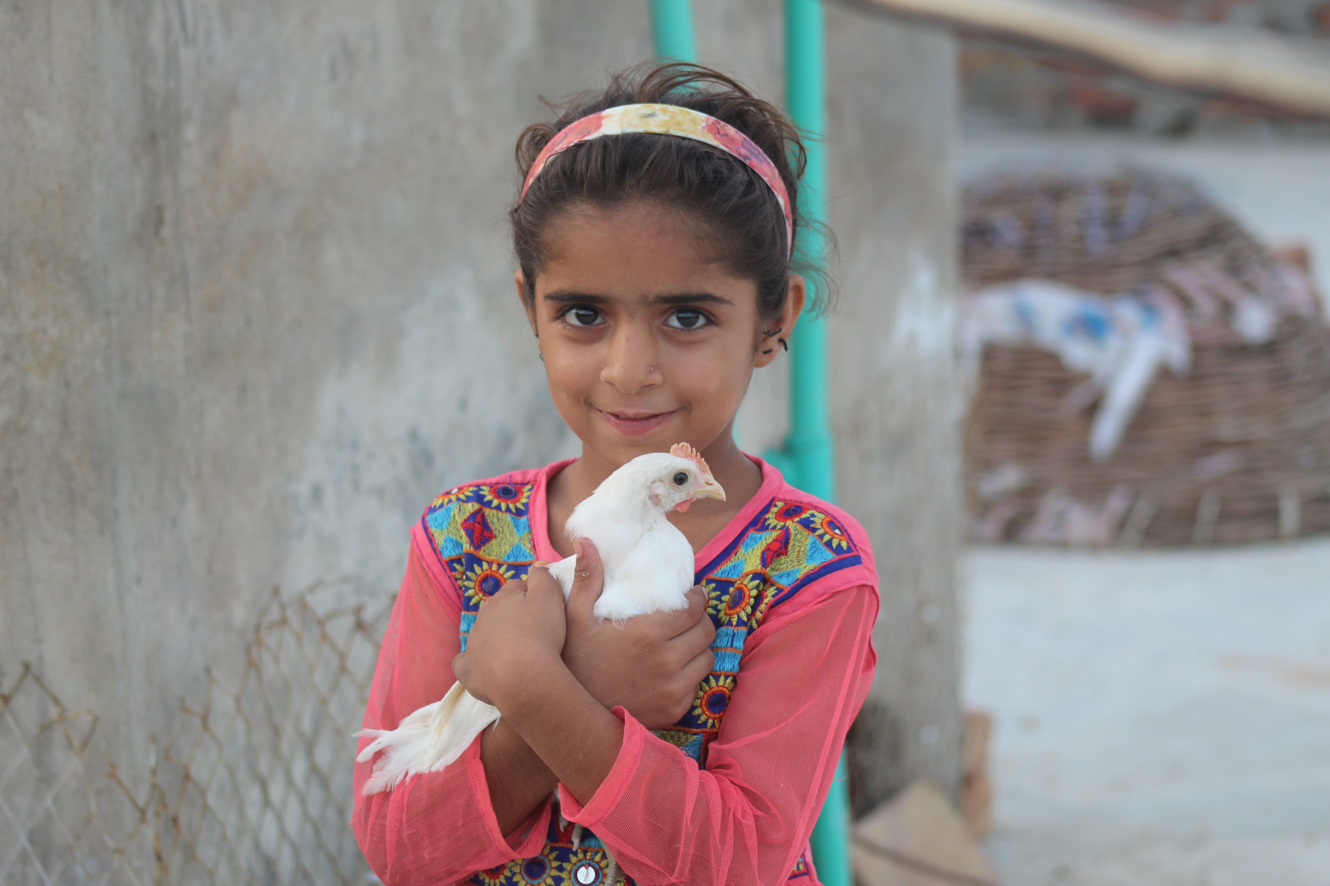 A young girl in colorful attire happily holding a white hen outdoors.