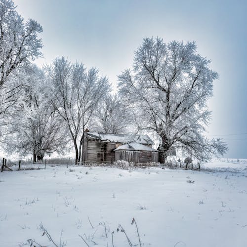 An Old Wooden Hut on a Snowy Field 