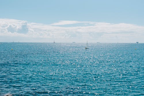 Foto profissional grátis de águas abertas, barcos a vela, cenário