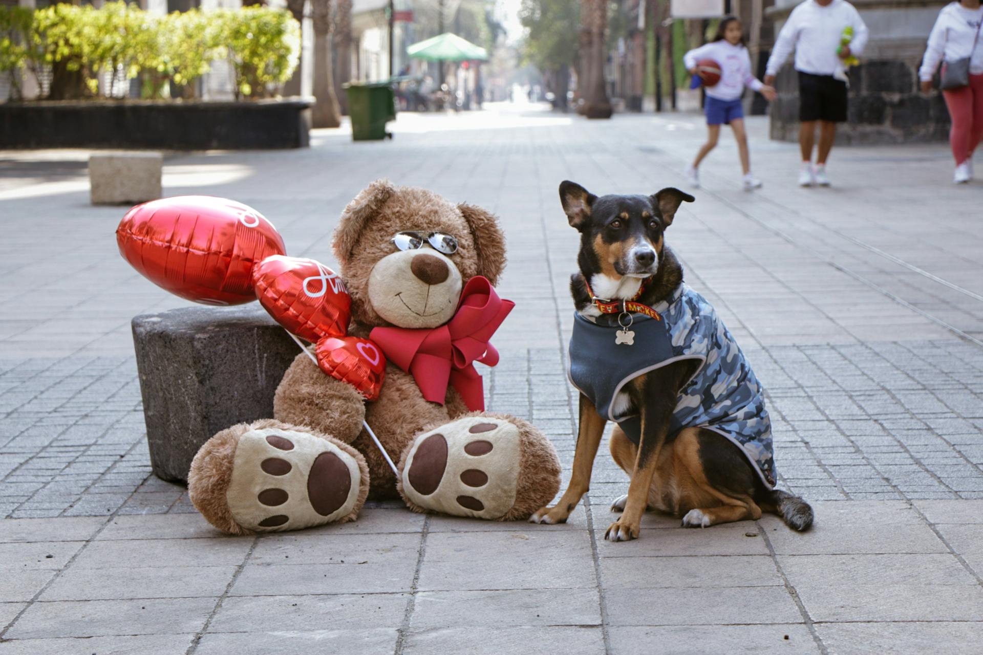 A Dog and a Teddy Bear with Heart Shaped Balloons on a Sidewalk