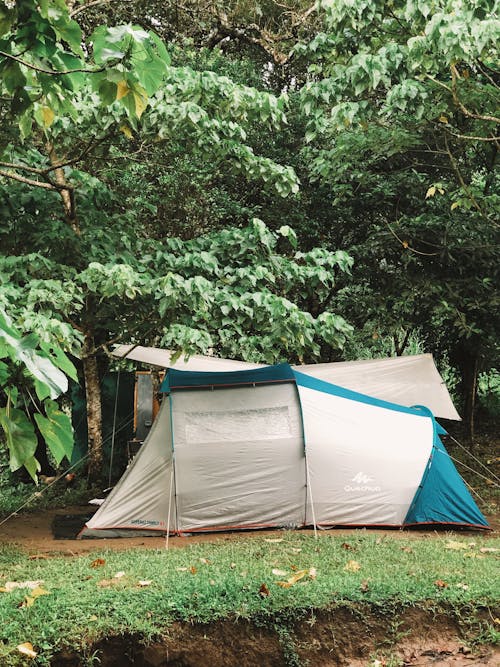 ağaçlar, boş zaman, çadır içeren Ücretsiz stok fotoğraf