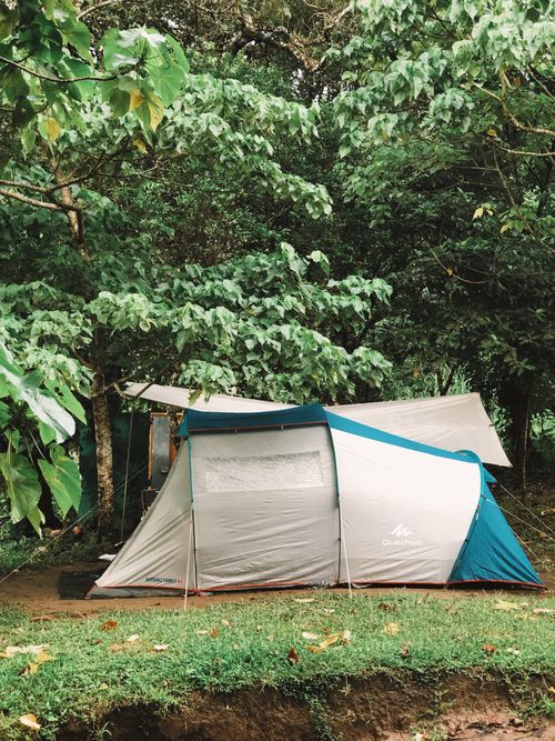 Free Tranquil campsite nestled in a dense green forest with a pitched tent, perfect for outdoor adventure. Stock Photo