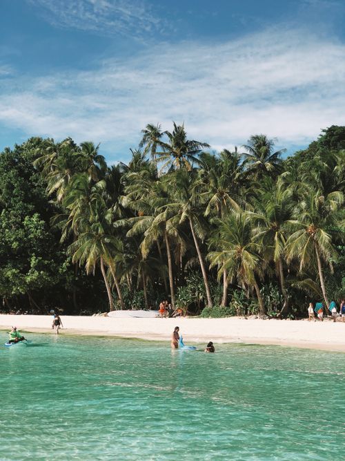 Free People enjoying a serene tropical beach with palm trees and turquoise sea under a blue sky. Stock Photo