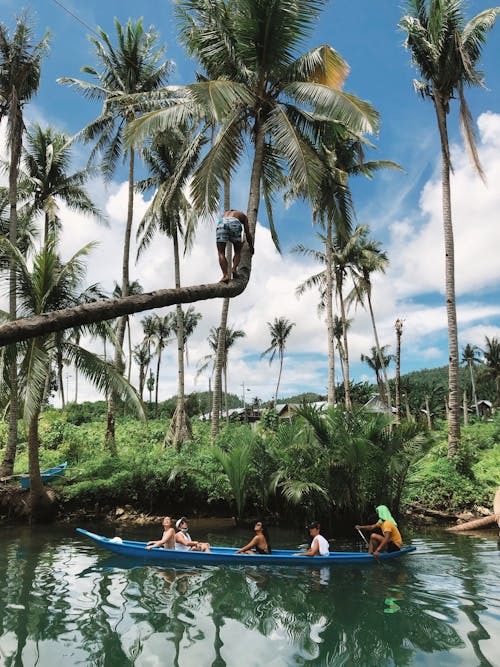 People in a Canoe in the River between Palm Trees