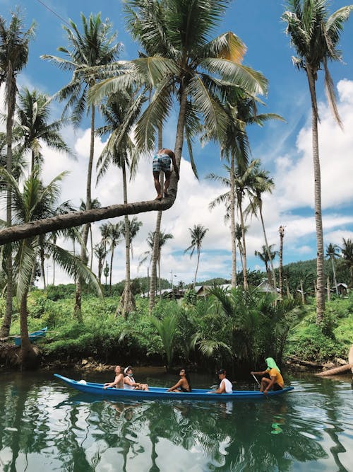 Foto d'estoc gratuïta de caiac, canoa, esbarjo