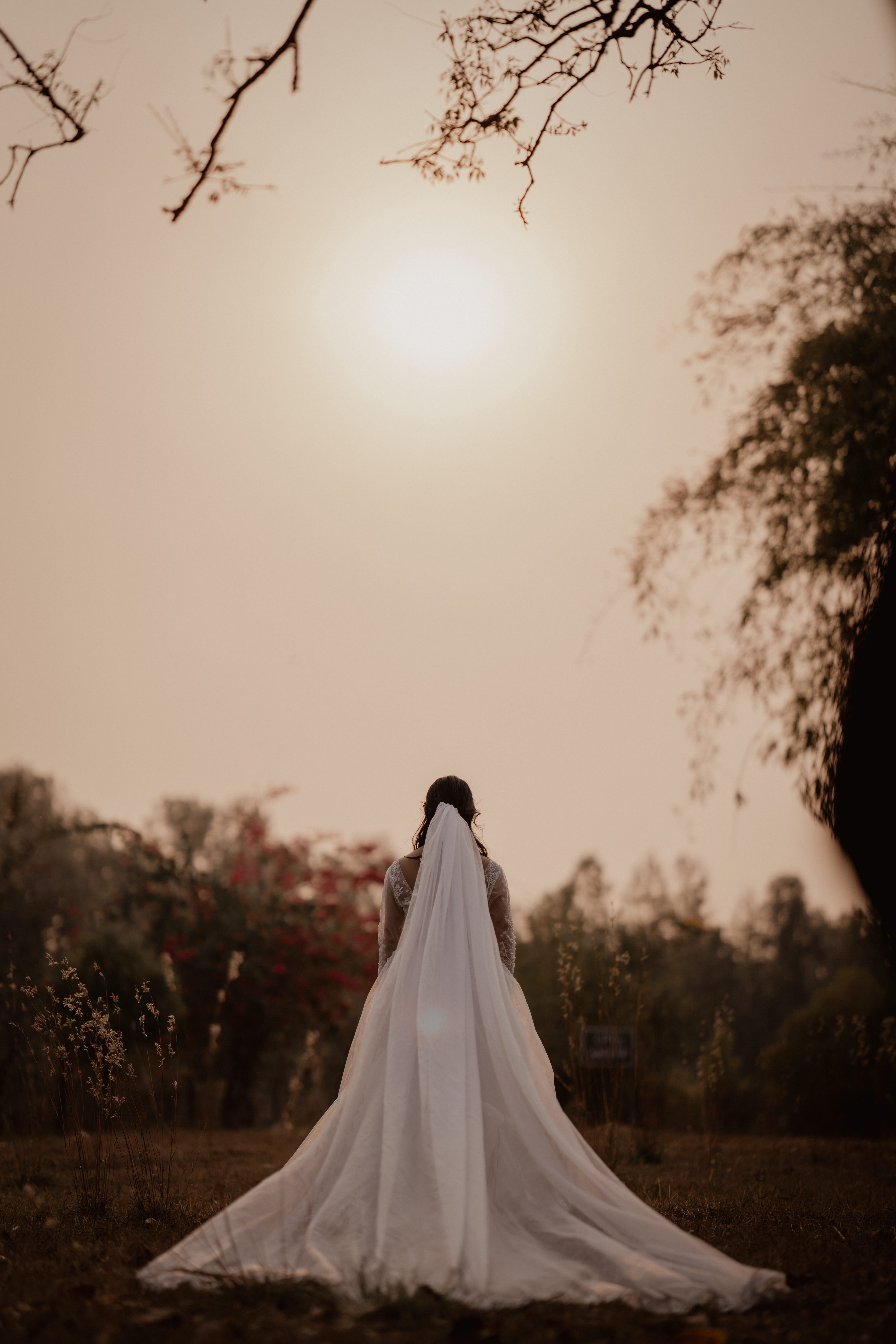 Sunlight over Woman in Wedding Dress · Free Stock Photo