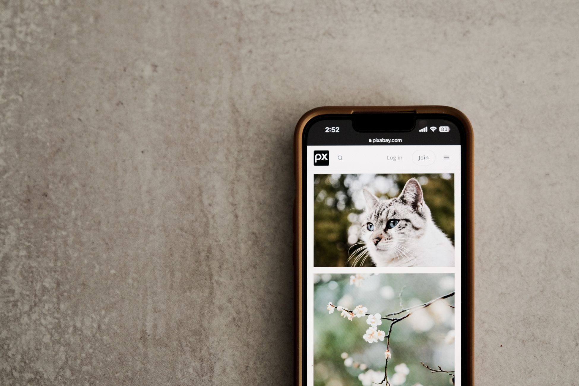 Mobile phone on a gray surface showing cat and flower images on screen.