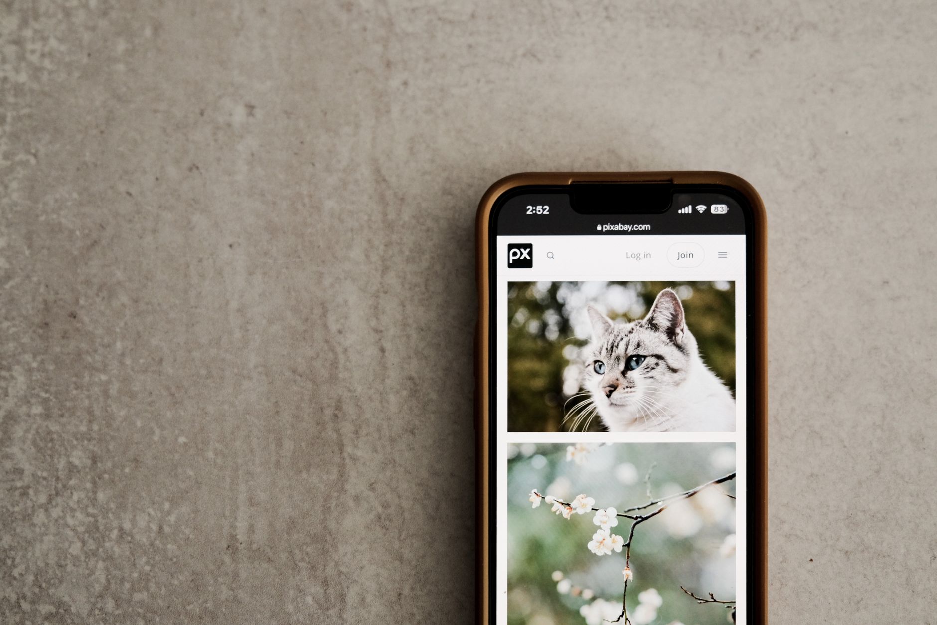 Mobile phone on a gray surface showing cat and flower images on screen.