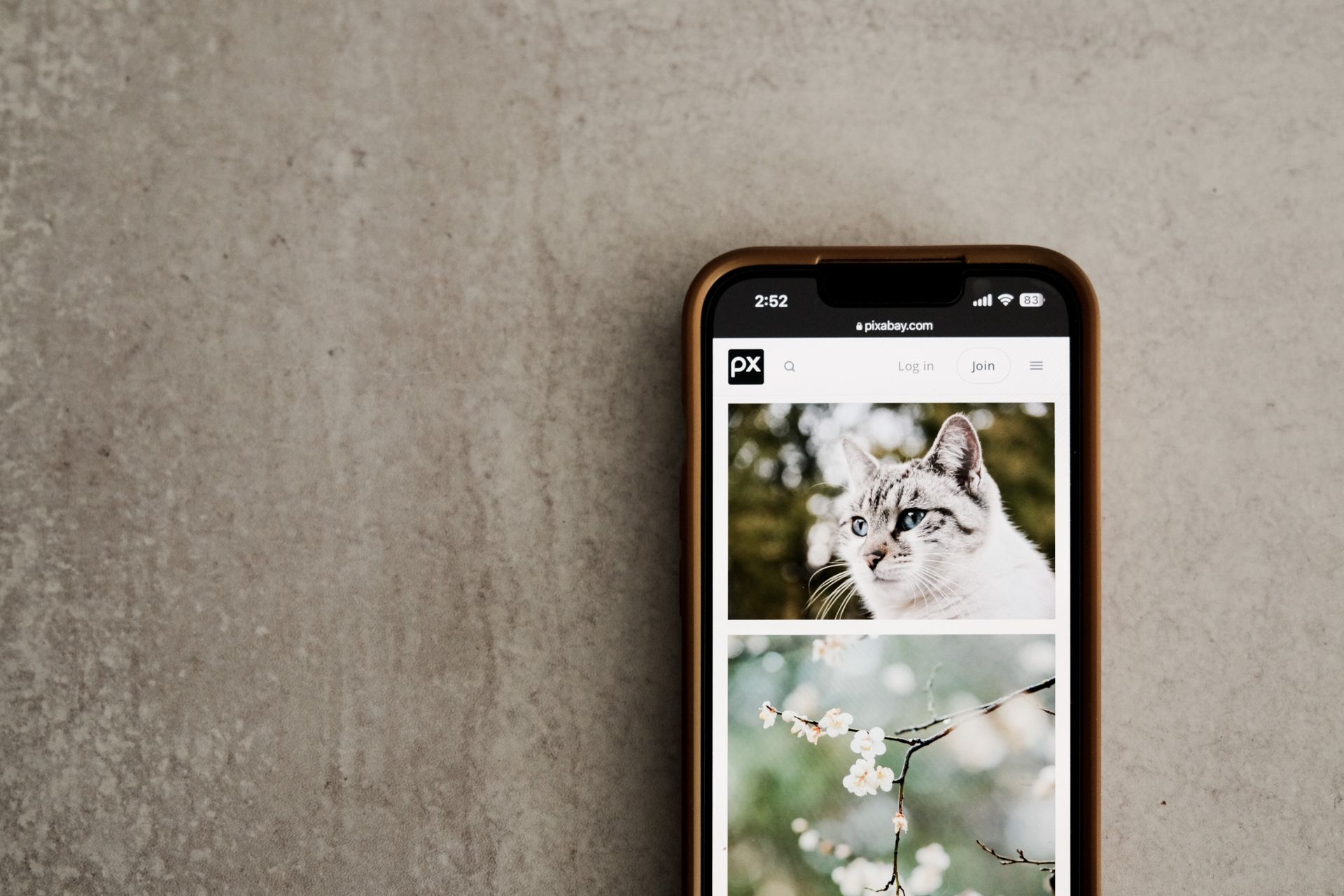 A grid of photo thumbnails displayed on a smartphone screen