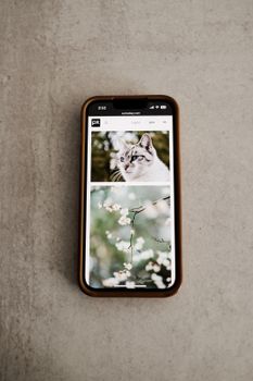 Modern smartphone showcasing a cat and floral image on its screen, laying on a neutral surface.