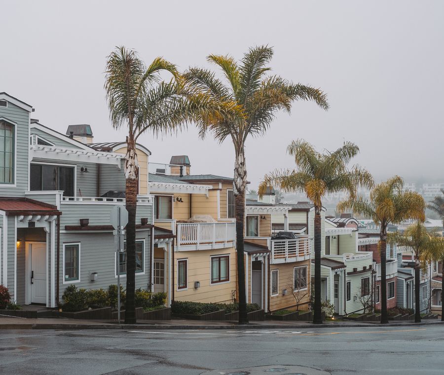 A picturesque suburban street with colorful houses and palm trees enveloped in foggy weather.