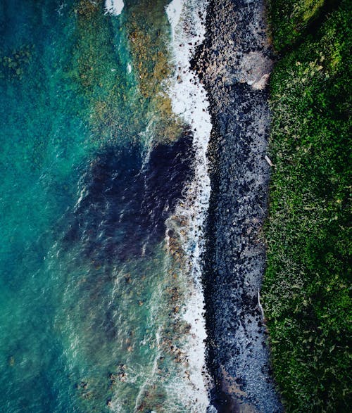 dalgalar, deniz, deniz kıyısı içeren Ücretsiz stok fotoğraf