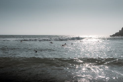 Free A group of people swimming in the ocean Stock Photo