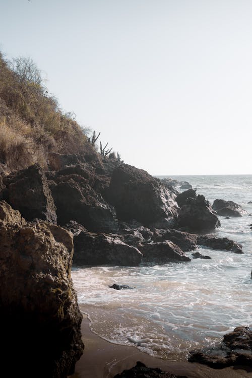 Free A man standing on the beach near the ocean Stock Photo