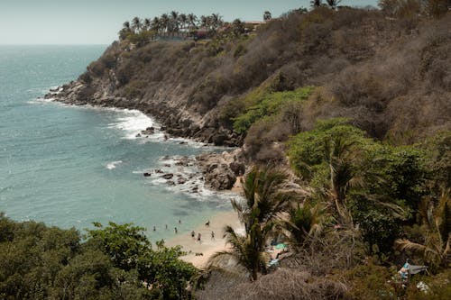 Free A beach with a rocky shore and trees Stock Photo