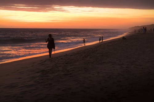 Free A person walking on the beach at sunset Stock Photo