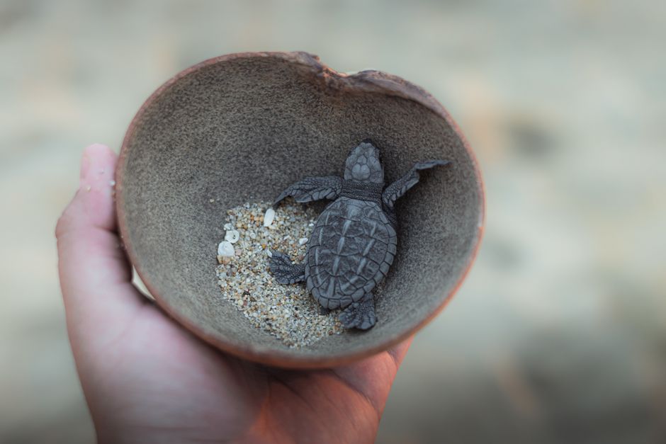 praia das conchas em cabo frio