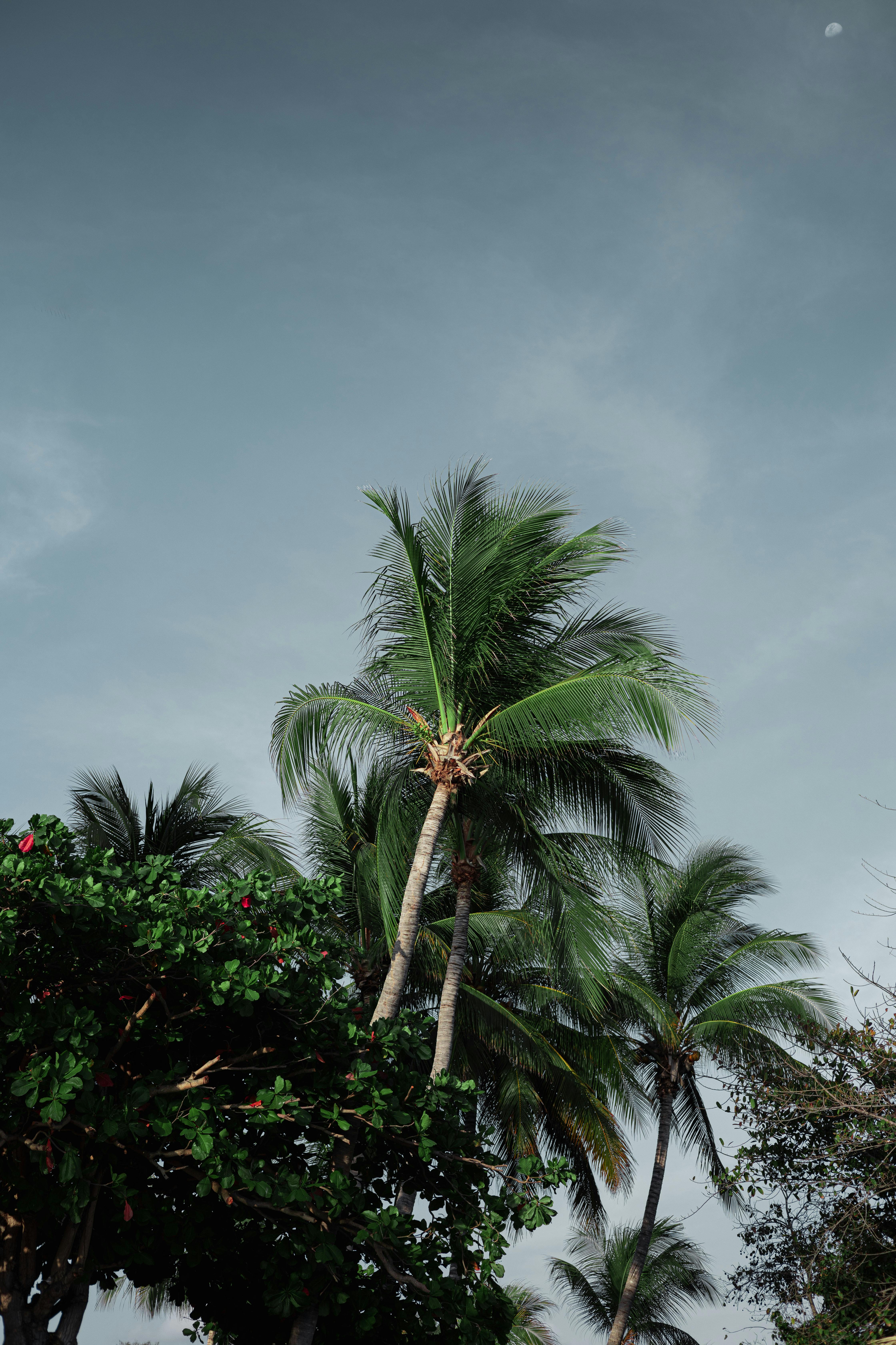 Puerto Escondido, Colombia