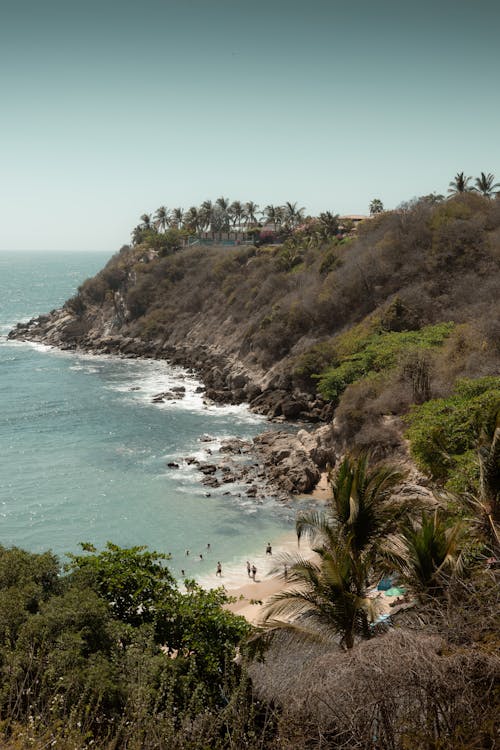 Free A view of the beach and ocean from a hill Stock Photo