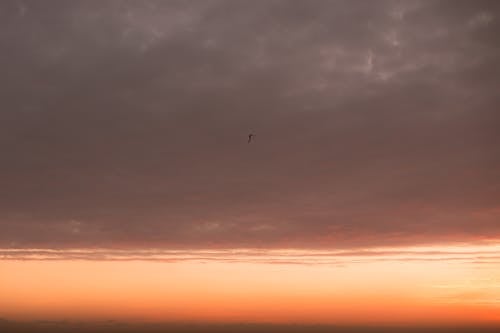 A lone kite flying in the sky at sunset