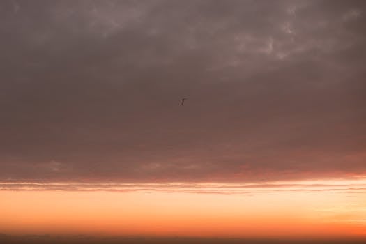 A tranquil sunset sky with clouds and a lone bird, capturing the serene beauty of Puerto Escondido.
