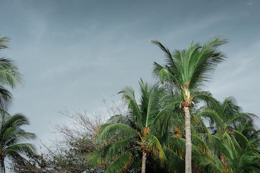 Puerto Escondido, Mexico photo 4