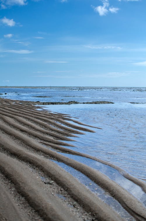Foto profissional grátis de areia, costa, litoral