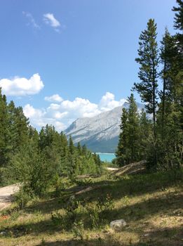 Idyllic mountain view of Banff National Park with lush greenery and a clear blue sky.