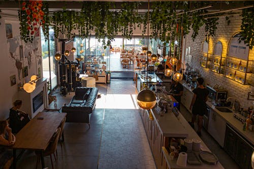 High Angle View of a Modern Cafe Interior with Plants Hanging from the Ceiling 