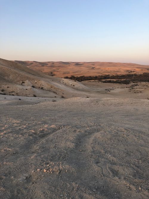 Free A serene view of an arid desert landscape under a clear blue sky during sunset. Stock Photo