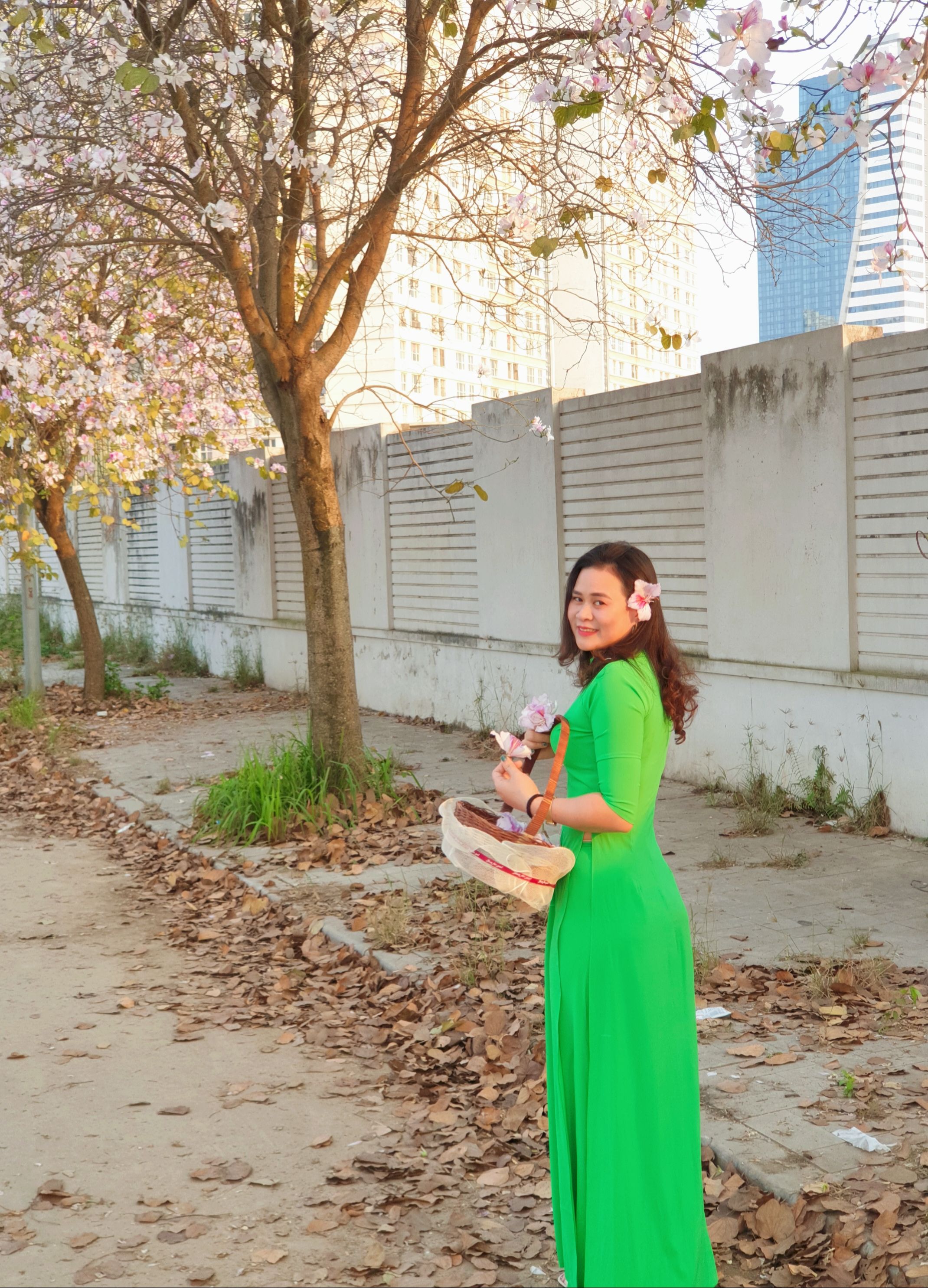 Brunette in Green Dress  Free Stock Photo