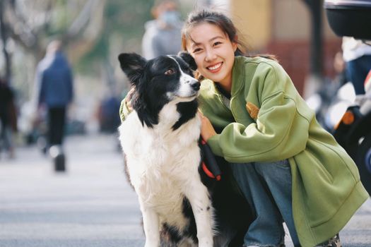 狗狗健康快乐地吃着碗里的狗粮